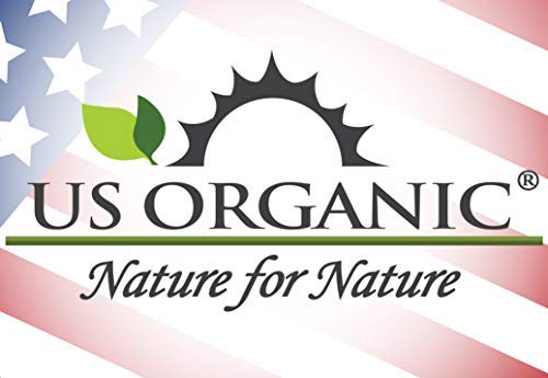 US Organic 100% Pure Sandalwood Essential Oil, USDA Certified Organic, Steam Distilled, Santalum Spicatum, Premium Quality, Woody Scent, Ideal for Diffuser, Massage & Skincare, from Australia (5 ml)
