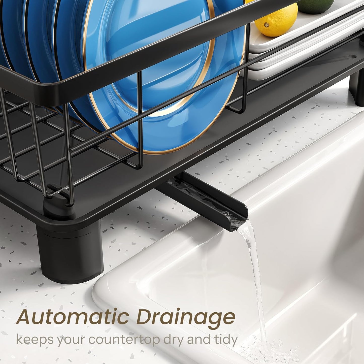 Dish Drying Rack - Small Dish Rack for Kitchen Counter, Stainless Steel Dish Drainer with Utensil Holder and Drainboard (Black)