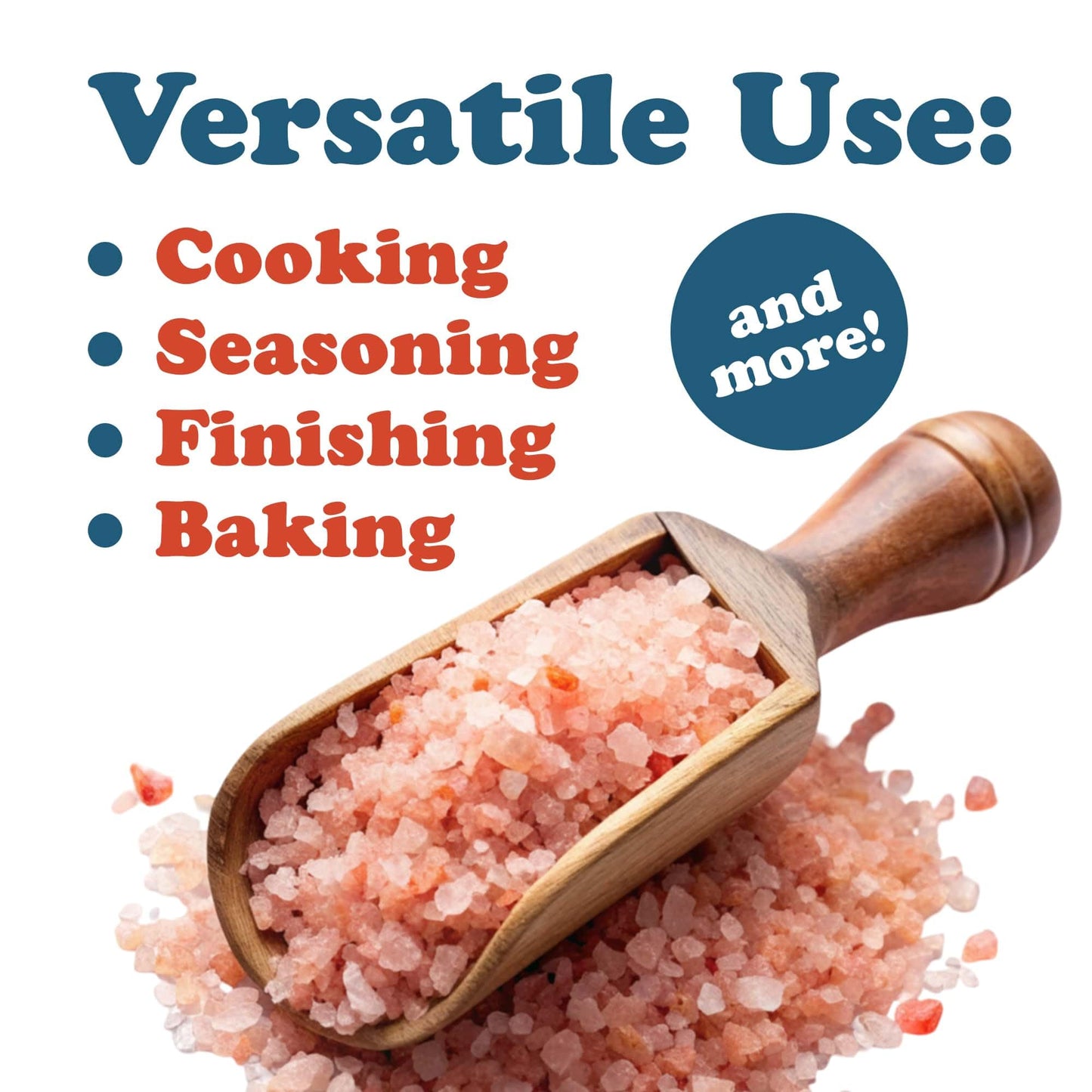 Food to Live Himalayan Pink Salt, 1 Pound – Coarse Grain, No Additives, No Preservatives, Vegan, Kosher, Bulk. Packed with Minerals. Perfect Seasoning. Suitable for Grinders, Salt Mills.