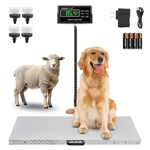 Charmline 1100lbs x 0.2lbs High Accuracy Digital Postal Scale with 41x21 in Large Stainless Steel Platform, Heavy Duty Scale for Dog, Pig, Goat Sheep, Battery & AC Adapter Powered, Slip-Resistant