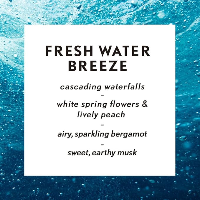 Air Wick Essential Oils Diffuser Mist Refill, Fresh Water Breeze, 1ct, Air Freshener