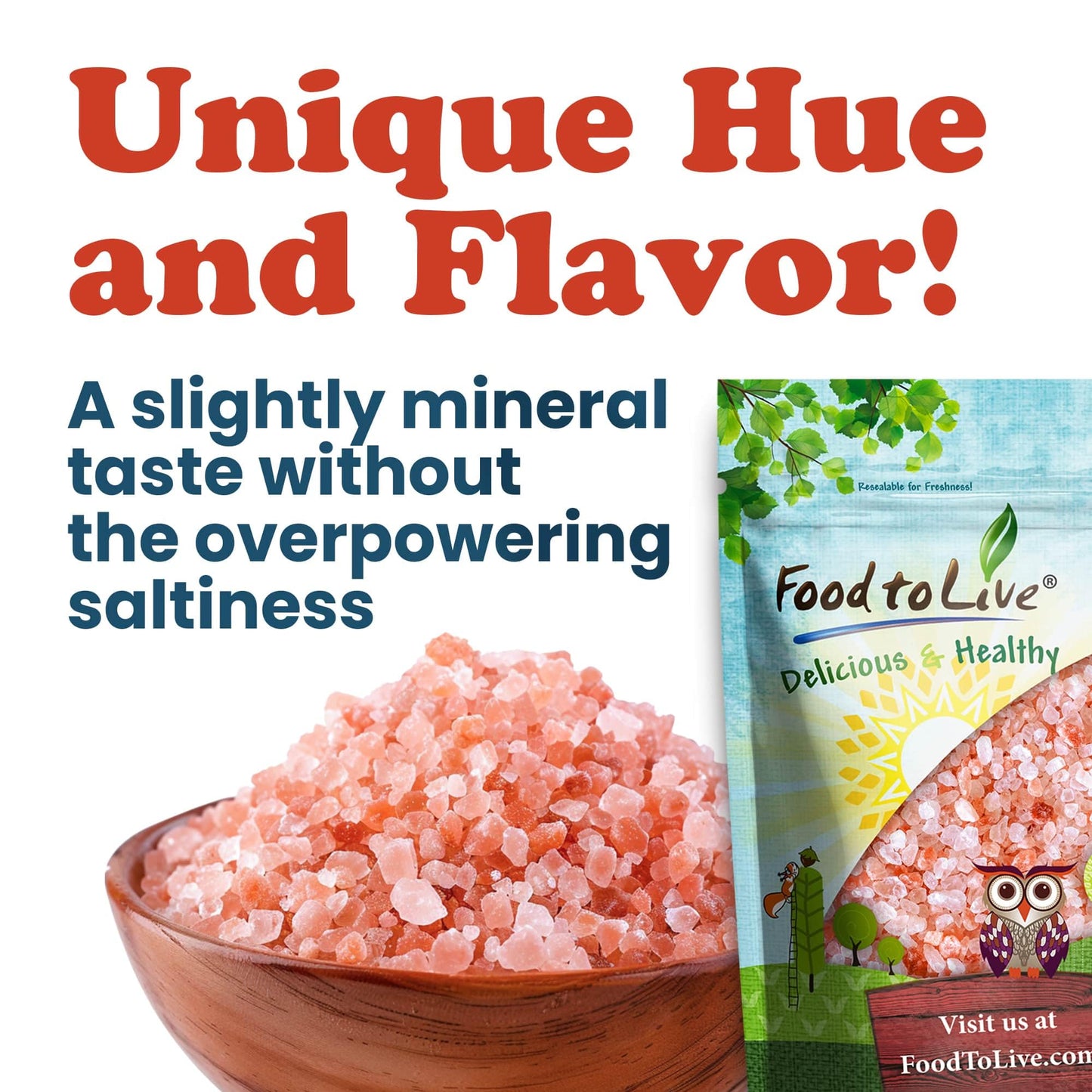 Food to Live Himalayan Pink Salt, 1 Pound – Coarse Grain, No Additives, No Preservatives, Vegan, Kosher, Bulk. Packed with Minerals. Perfect Seasoning. Suitable for Grinders, Salt Mills.