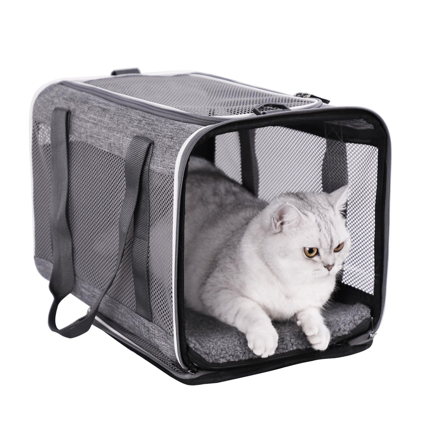 petisfam Soft Pet Carrier Bag for Cats and Puppy Under 20 lbs. Sturdy, Safe, Comfortable and Lightweight