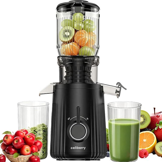 Cold Press Juicer Machines, Slow Masticating Juicer with Large Chute, Self-Feeding Juice Extractor for Whole Fruits & Vegetables, 98% Juice Yield, Quiet & Easy to Clean, Black